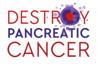 Destroy pancreatic cancer