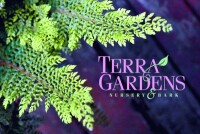 Terra Gardens Nursery and Bark
