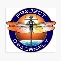 The dragonfly project