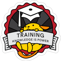Wordpress training | on-site individual & staff training
