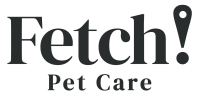 Fetch pet sitting