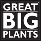 Great big plants, llc