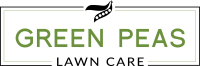 Green peas lawn care