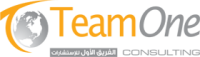TeamOne Consulting