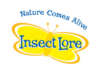 Insect lore
