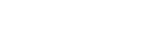 Insight-international