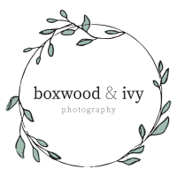Ivy photography