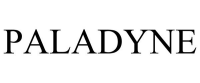 Paladyne Systems, Inc.