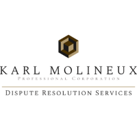 Karl molineux professional corporation