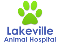 Lakeville animal hospital inc