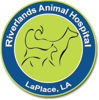 Laplace veterinary hospital