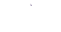 Laurel mountain research
