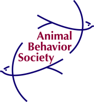 Loehr animal behavior