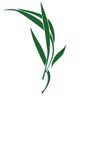 Luxury landscapes usa