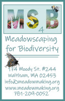Meadowscaping for biodiversity (ms4b)