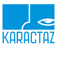 Karactaz Animation
