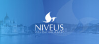 Niveus consulting group