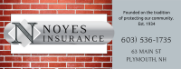 Noyes insurance agency, inc.