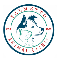 Palmetto animal clinic