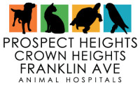 Prospect heights animal hospital