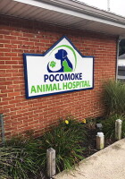 Pocomoke animal hospital