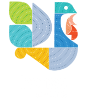 Hansa Vision Pvt Ltd