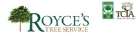 Royce's tree service