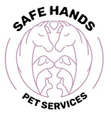 Safe hands pet transport
