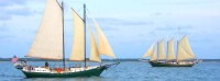 Yorktown sailing charters llc