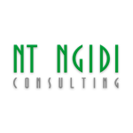 NT Ngidi Consulting (Pty) Ltd