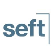 Seft consulting group llc