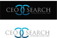 Seo executive search