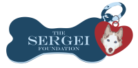 The sergei foundation