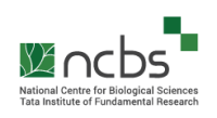 National Center for Biological Sciences (NCBS-TIFR)
