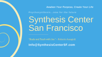 Synthesis center san francisco