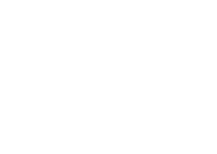 The american franchising group