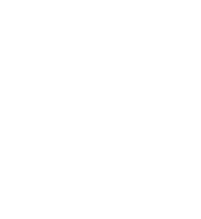 The prince alfred