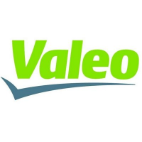 Valeo Electric and Electronic Systems Sp. z o.o.