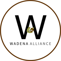 Wadena alliance church
