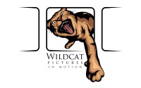Wildcat video productions