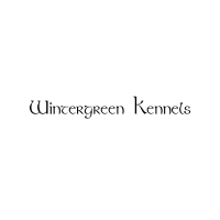 Wintergreen kennels