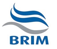 Brim Technologies
