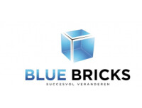 Blue bricks pty ltd