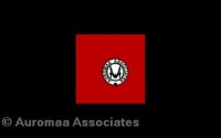 Auromaa associates