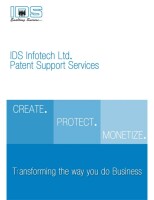 Ids-ip (patent support services)