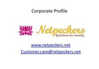 Netpeckers consulting p ltd