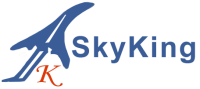 Skyking agencies - india