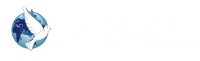 Flywebtech services