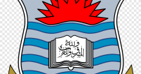 The university of punjab