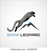 Snow Leopard Projects GmbH